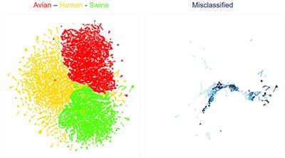 Misclassified: identification of zoonotic transition biomarker candidates for influenza A viruses using deep neural network
